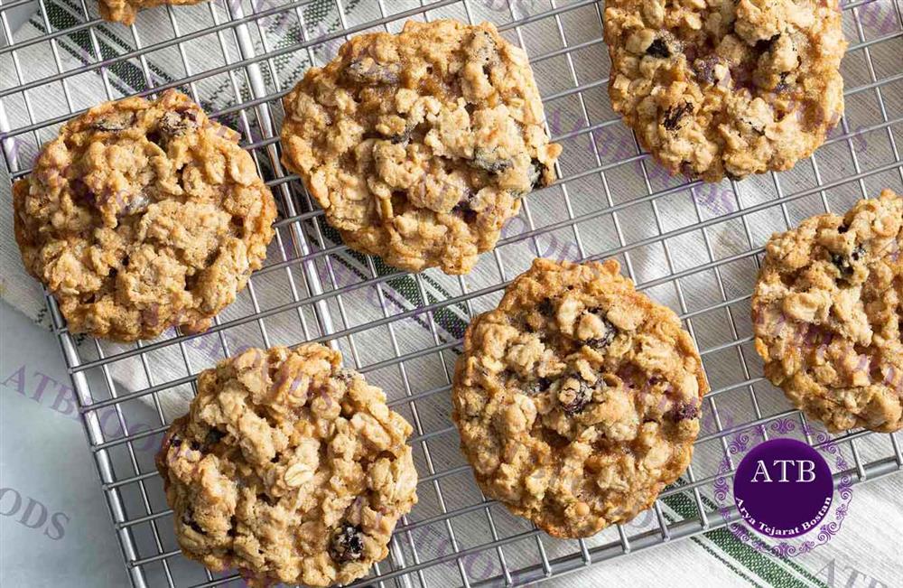 Oatmeal Raisin Cookies | Arya Tejarat Bostan