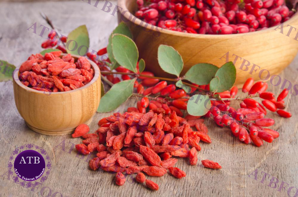 Buy Iranian Barberry in Bulk in Australia | ATB