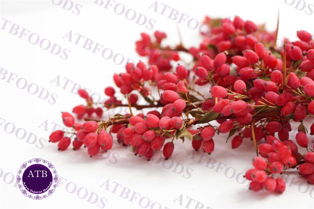 Good Iranian Barberry | Arya Tejarat Bostan