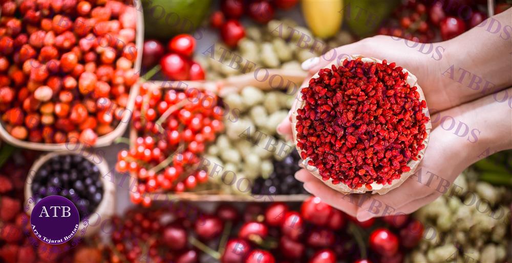 Find Genuine Barberry in South Africa | Arya Tejarat Bostan